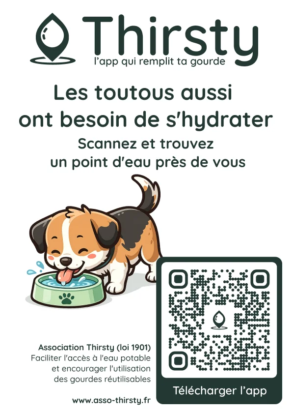 Aperçu de l’affiche Toutous