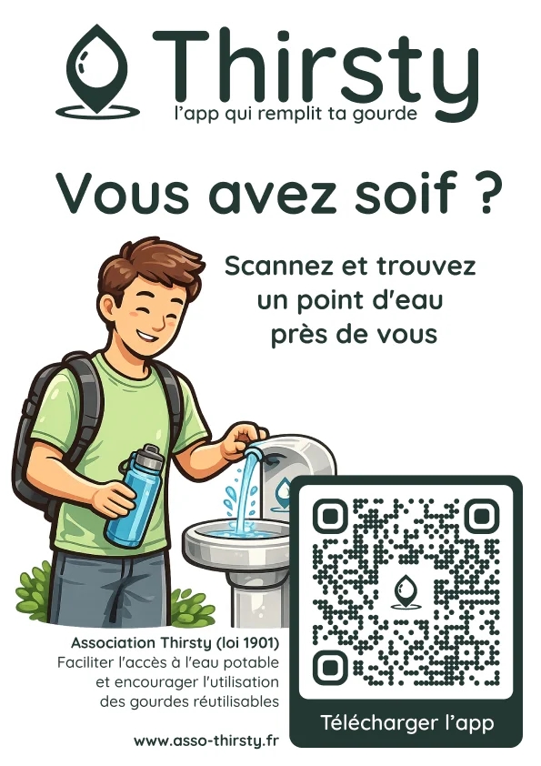 Aperçu de l’affiche Solo